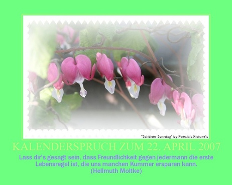 kalenderspruch-zum-22-april-2007.jpg